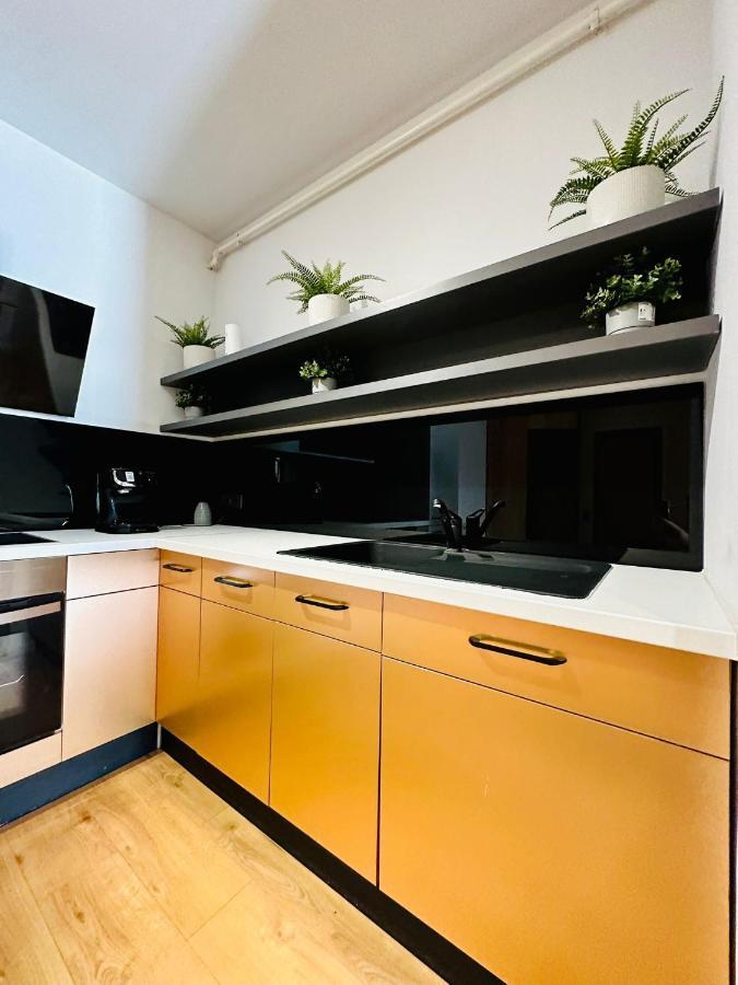 Kharisma Apartment-Free Parking-Ultracentral Клуж-Напока Экстерьер фото